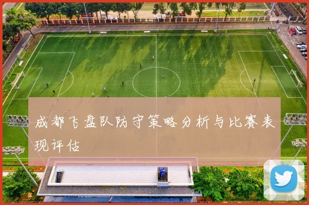 成都飞盘队防守策略分析与比赛表现评估