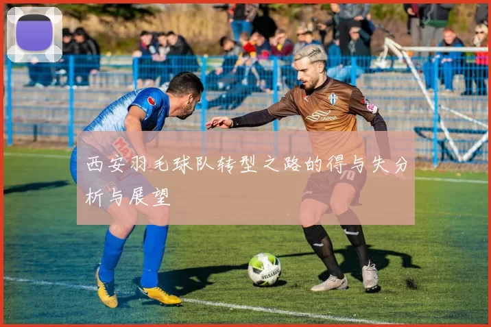 西安羽毛球队转型之路的得与失分析与展望