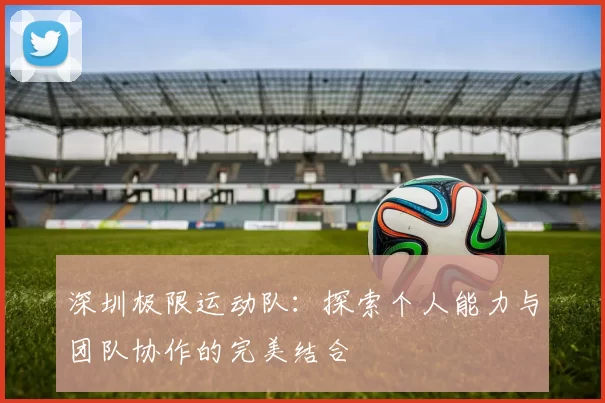 深圳极限运动队：探索个人能力与团队协作的完美结合