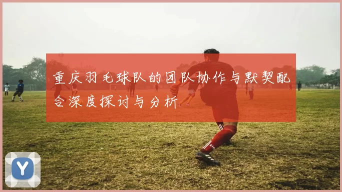 重庆羽毛球队的团队协作与默契配合深度探讨与分析
