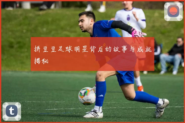 拼豆豆足球明星背后的故事与成就揭秘