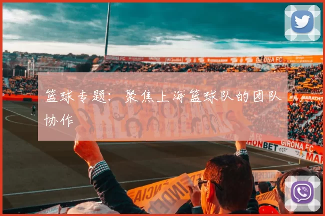 篮球专题：聚焦上海篮球队的团队协作