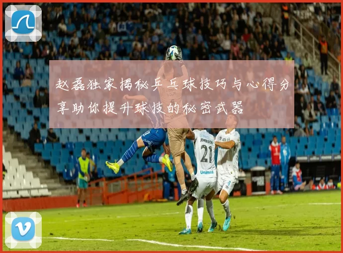 赵磊独家揭秘乒乓球技巧与心得分享助你提升球技的秘密武器