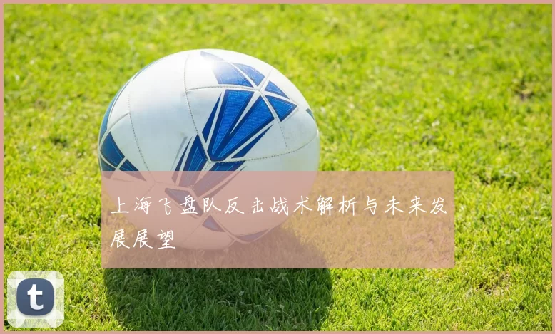 上海飞盘队反击战术解析与未来发展展望