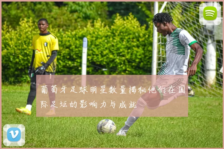 葡萄牙足球明星数量揭秘他们在国际足坛的影响力与成就
