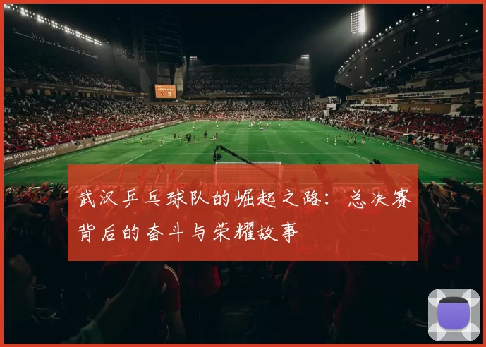 武汉乒乓球队的崛起之路：总决赛背后的奋斗与荣耀故事