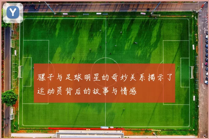 骡子与足球明星的奇妙关系揭示了运动员背后的故事与情感