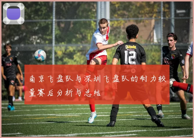 南京飞盘队与深圳飞盘队的耐力较量赛后分析与总结