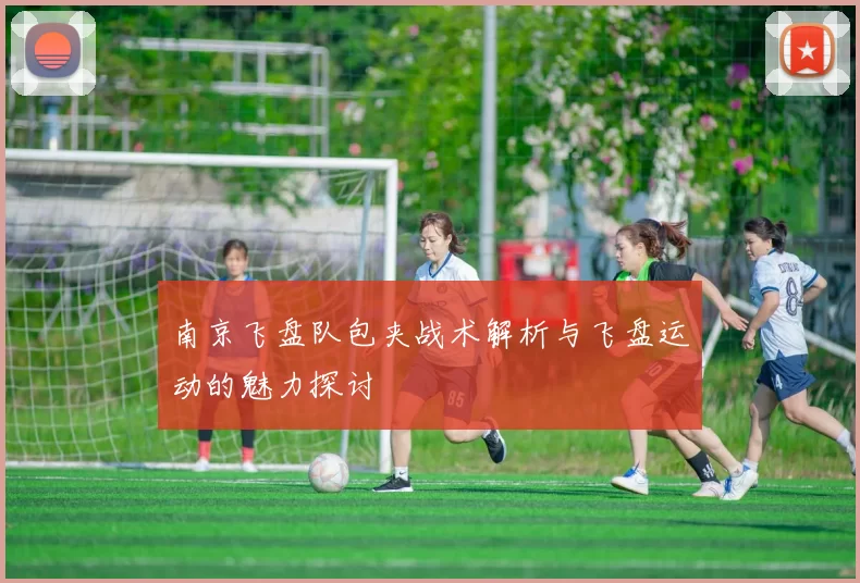 南京飞盘队包夹战术解析与飞盘运动的魅力探讨