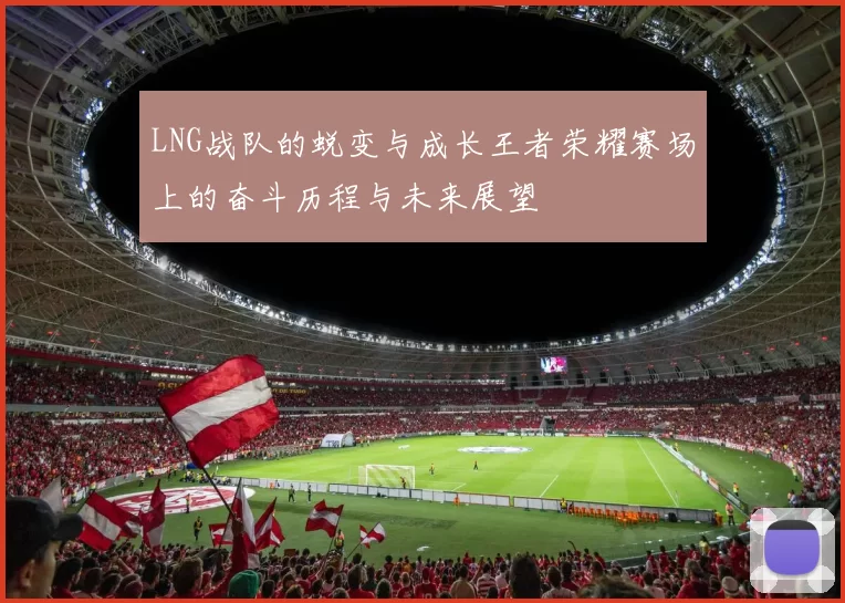 LNG战队的蜕变与成长王者荣耀赛场上的奋斗历程与未来展望