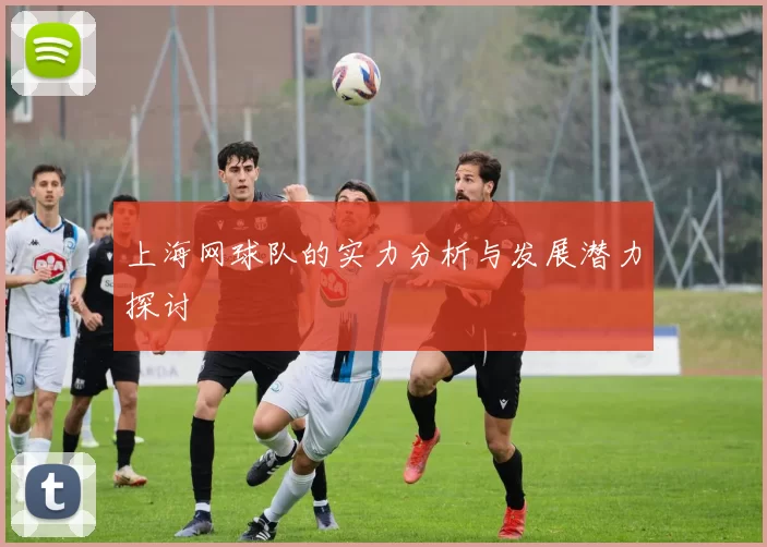 上海网球队的实力分析与发展潜力探讨