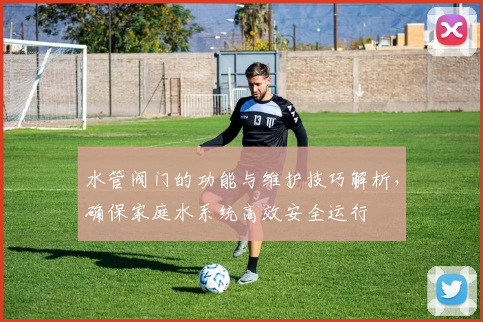 水管阀门的功能与维护技巧解析，确保家庭水系统高效安全运行