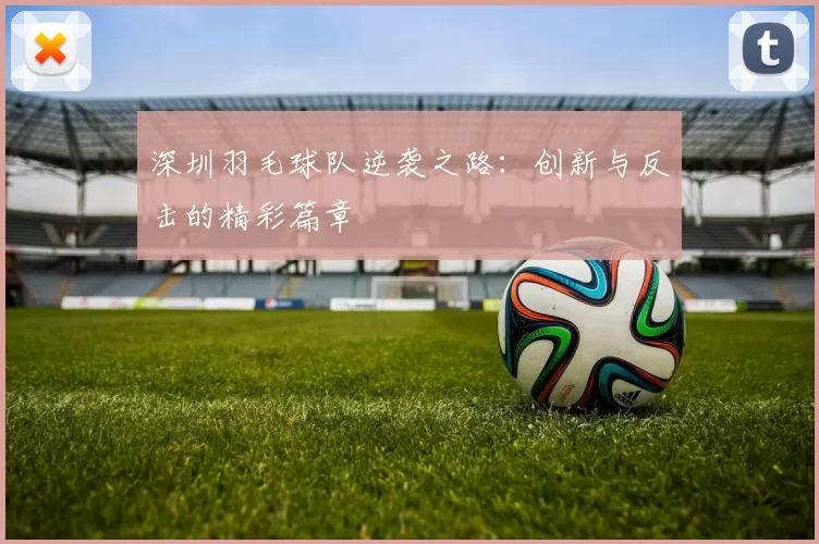 深圳羽毛球队逆袭之路：创新与反击的精彩篇章