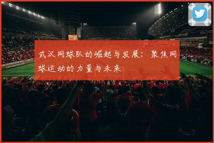 武汉网球队的崛起与发展：聚焦网球运动的力量与未来