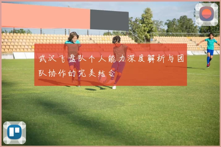 武汉飞盘队个人能力深度解析与团队协作的完美结合