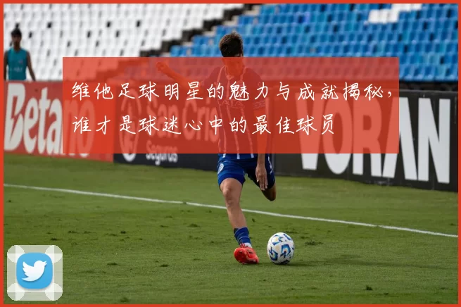 维他足球明星的魅力与成就揭秘，谁才是球迷心中的最佳球员