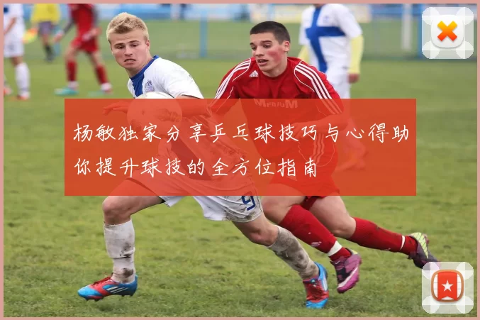 杨敏独家分享乒乓球技巧与心得助你提升球技的全方位指南