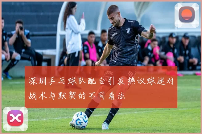 深圳乒乓球队配合引发热议球迷对战术与默契的不同看法