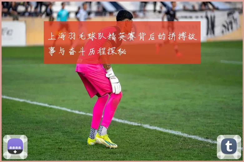 上海羽毛球队精英赛背后的拼搏故事与奋斗历程探秘
