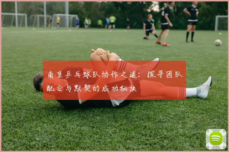 南京乒乓球队协作之道：探寻团队配合与默契的成功秘诀