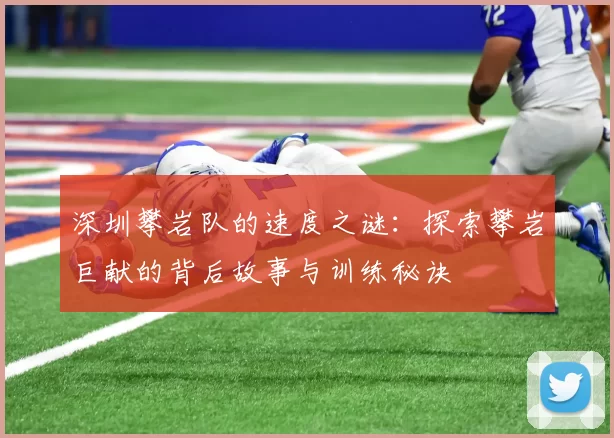 深圳攀岩队的速度之谜：探索攀岩巨献的背后故事与训练秘诀