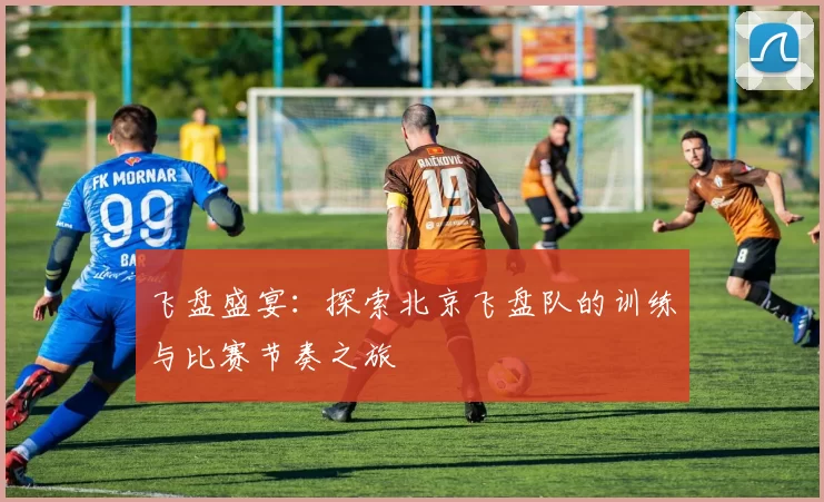 飞盘盛宴：探索北京飞盘队的训练与比赛节奏之旅