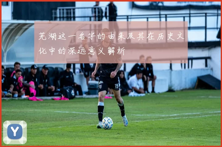 芜湖这一名字的由来及其在历史文化中的深远意义解析