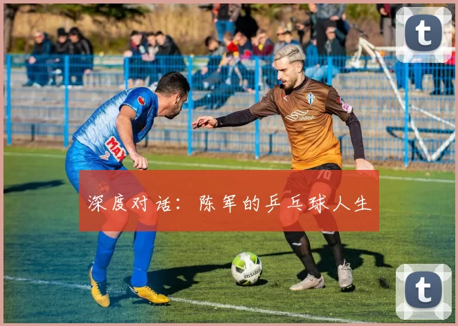 深度对话：陈军的乒乓球人生